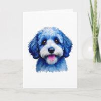 Sheepadoodle puppy smiling in blue!