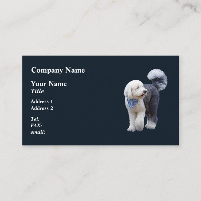 Sheepadoodle With Blue Chequered Scarf Business Card (Front)