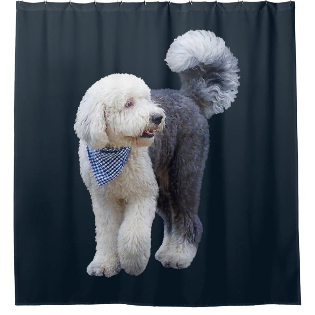 Sheepadoodle With Blue Chequered Scarf Shower Curtain (Front)