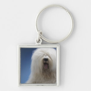 Sheepdog Key Ring