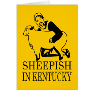 Sheepish In Kentucky