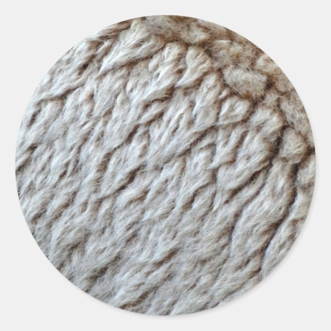 Sheep's Wool Abstract Nature Photo Classic Round Sticker (Front)