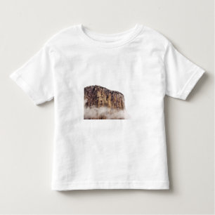 Sheer cliff rising above clouds toddler T-Shirt