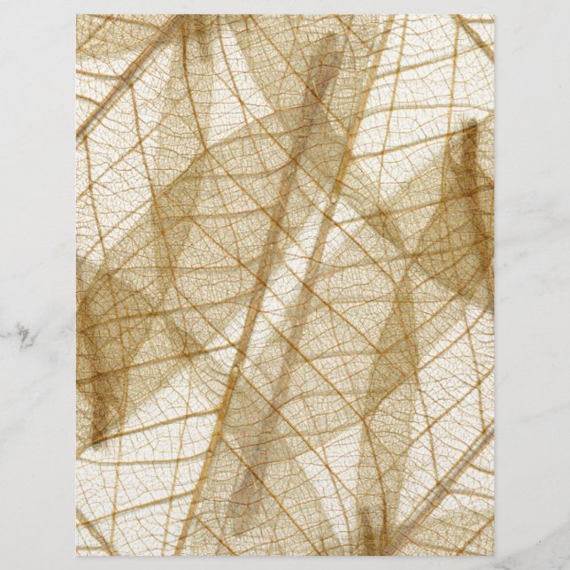Sheer Cream Beige Lace Leaves (Front)
