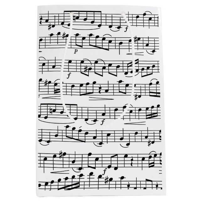 Sheet Music Notes       Medium Gift Bag (Front)
