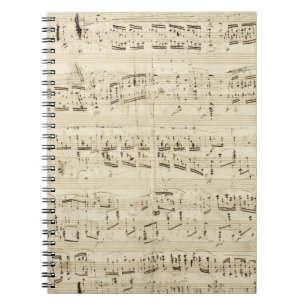 Sheet Music on Parchment Handwritten in Ink Notebook