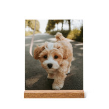 Sheet with picture of cute sweet dog