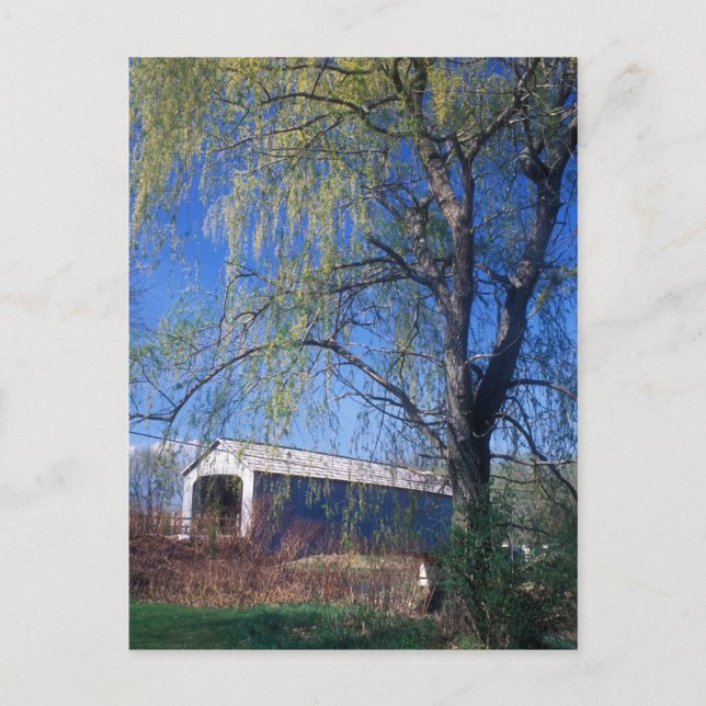 Sheffield Upper Covered Bridge Berkshires MA Postcard (Front)