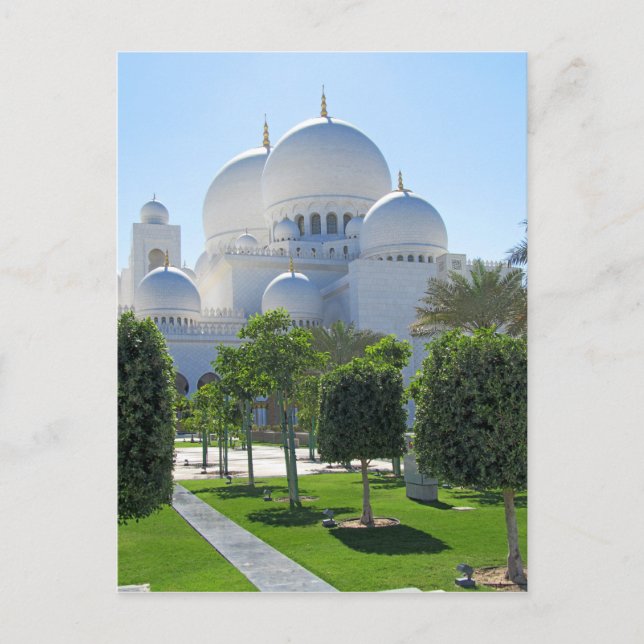 Sheikh Zayed Grand Mosque domes 1 Postcard (Front)