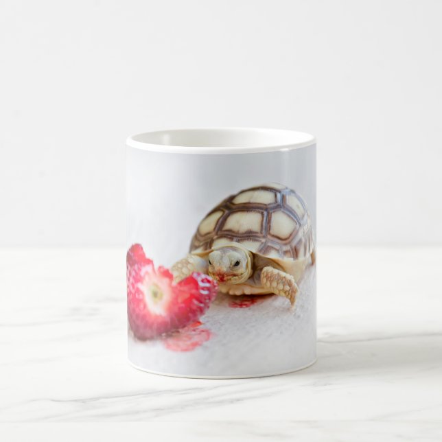 Sheldon the Tortoise Coffee Mug (Center)