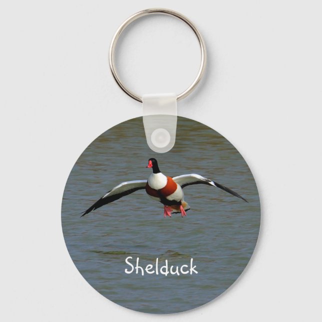 Shelduck Key Ring (Front)