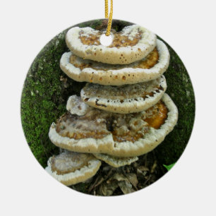 Shelf Fungi on Stump Ceramic Tree Decoration