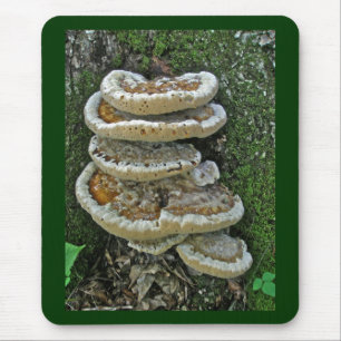 Shelf Fungi on Stump Mouse Pad