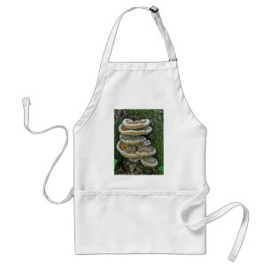Shelf Fungi on Stump Standard Apron