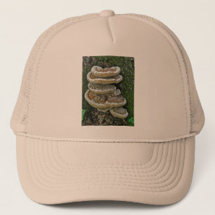 Shelf Fungi on Stump Trucker Hat
