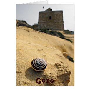 Shell and Tower, Gozo, Malta