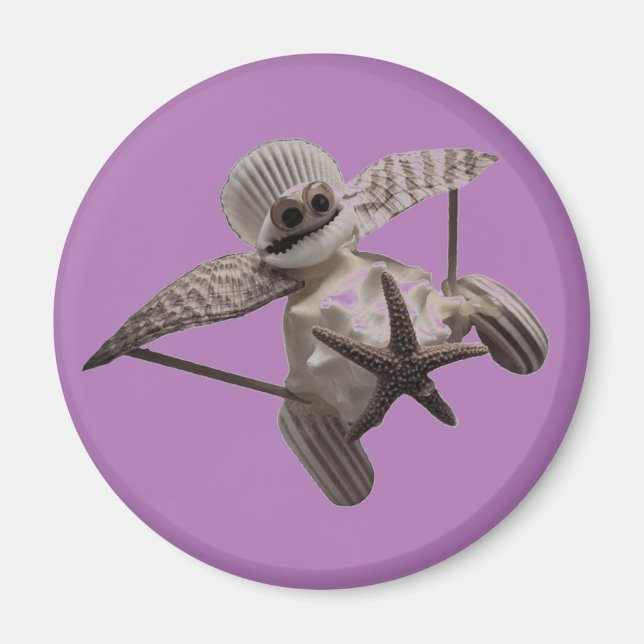 Shell Art Aeroplane Magnet (Front)