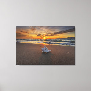Shell At The Beach At Sunset Kos Island Canvas Print