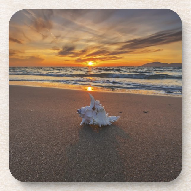 Shell At The Beach At Sunset | Kos Island Coaster (Front)