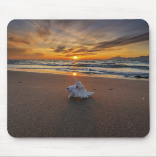 Shell At The Beach At Sunset Kos Island Mouse Pad
