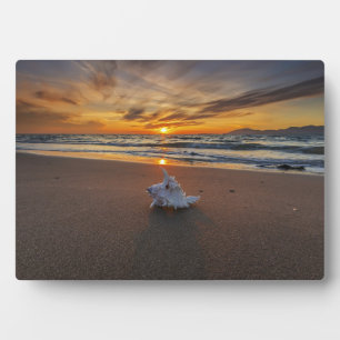 Shell At The Beach At Sunset Kos Island Plaque