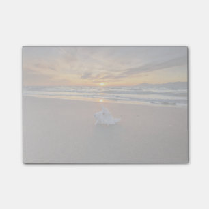 Shell At The Beach At Sunset Kos Island Post-it Notes