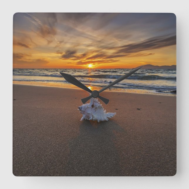 Shell At The Beach At Sunset | Kos Island Square Wall Clock (Front)