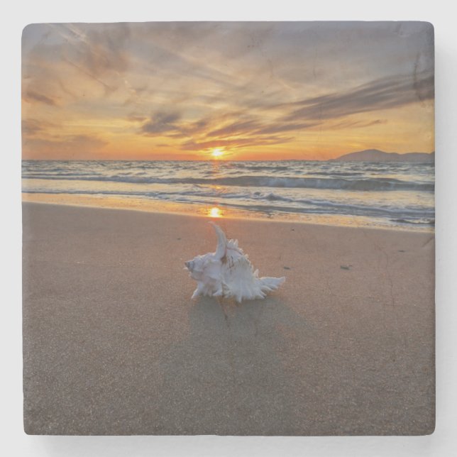 Shell At The Beach At Sunset | Kos Island Stone Coaster (Front)