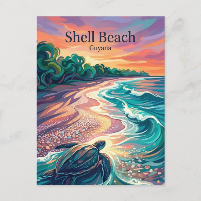 Shell Beach Guyana Postcard (Front)