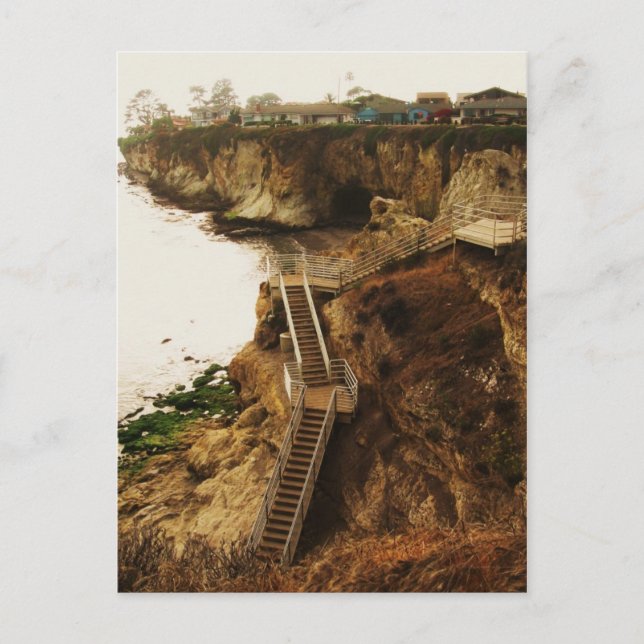 Shell Beach Postcard (Front)