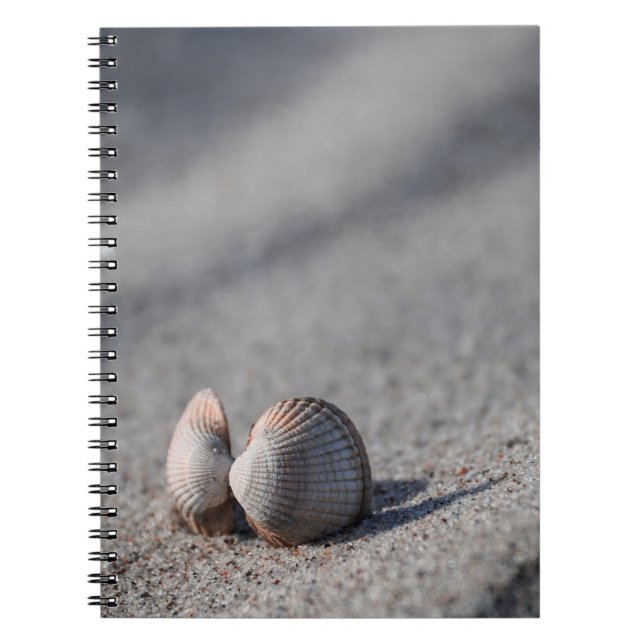 Shell, Beach, Sand Notebook (Front)