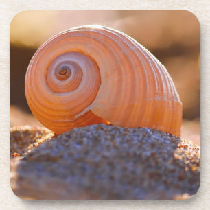 Shell Bokeh Greece Coaster