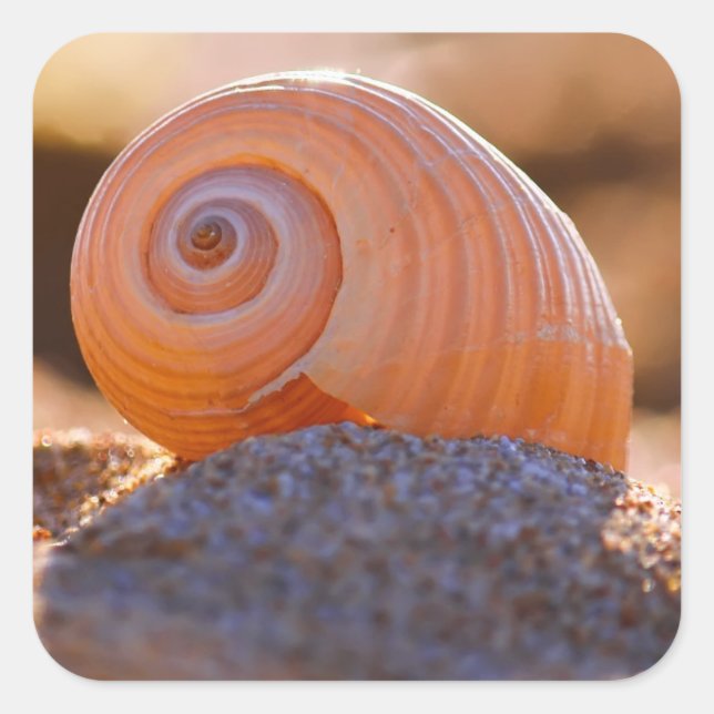 Shell Bokeh |Greece Square Sticker (Front)