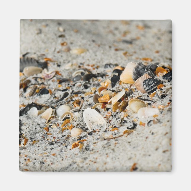 Shell cache magnet (Front)