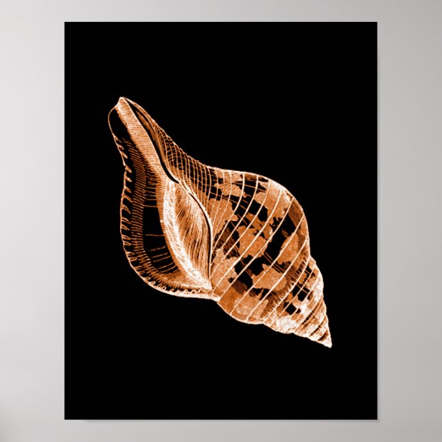Shell coastal nautical watercolor black poster (Front)