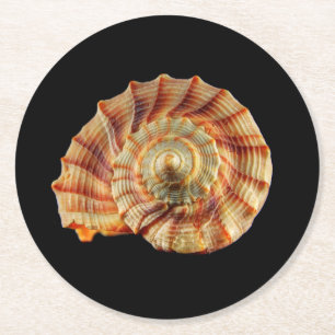 Shell coaster