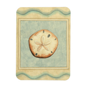 Shell Collector Magnet