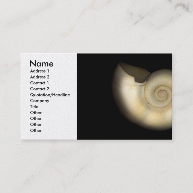 Shell - Conchology - Nautilus Business Card (Front)