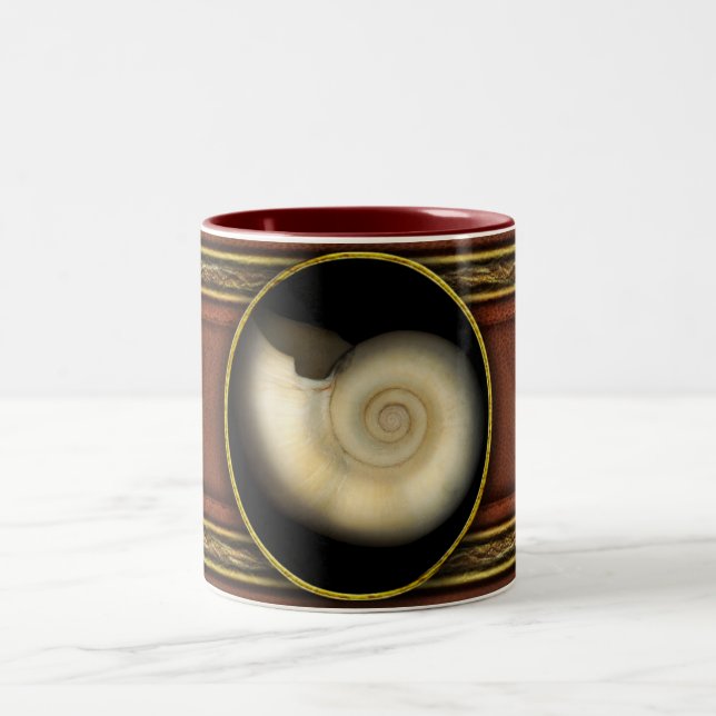 Shell - Conchology - Nautilus Two-Tone Coffee Mug (Center)