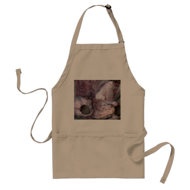 Shell - Conchology - Volcano Island Standard Apron (Front)