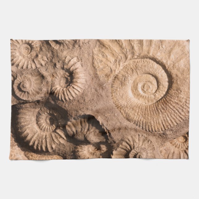 Shell Fossils Tea Towel (Horizontal)