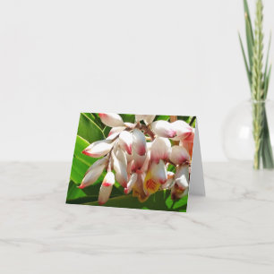 Shell Ginger Photo Folded Note Card