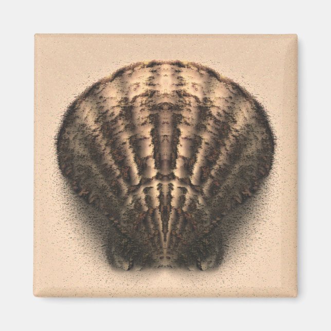 Shell Magnet (Front)