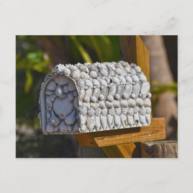 Shell Mailbox, Fort Myers Beach, Florida Postcard (Front)