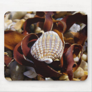 Shell On A Bed Of Seaweed Mouse Pad