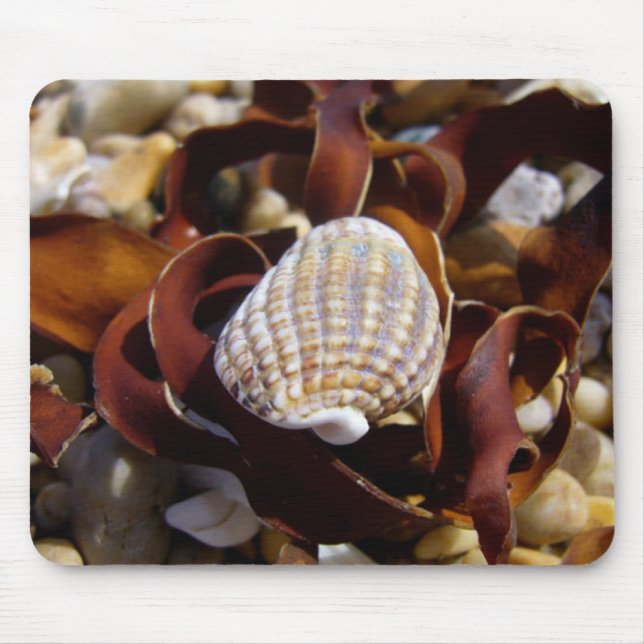 Shell On A Bed Of Seaweed Mouse Pad (Front)