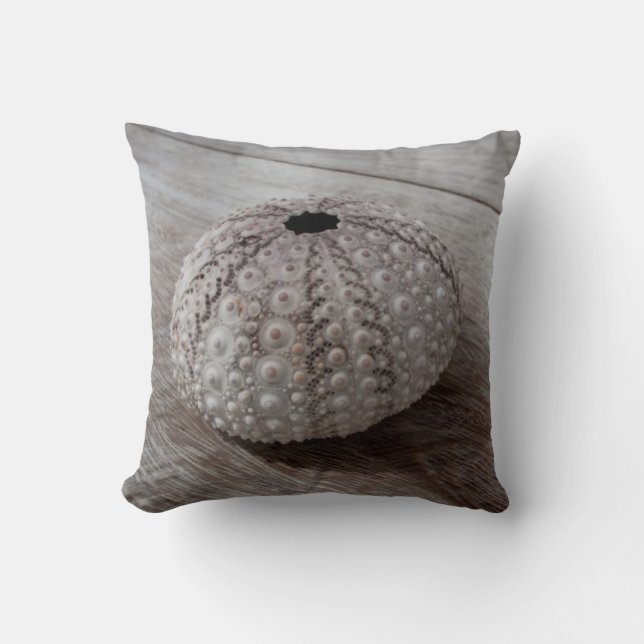 Shell On Top Of A Wooden Table Cushion (Front)