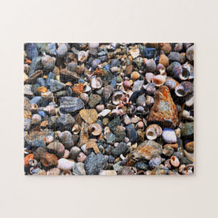 Shell Puzzle