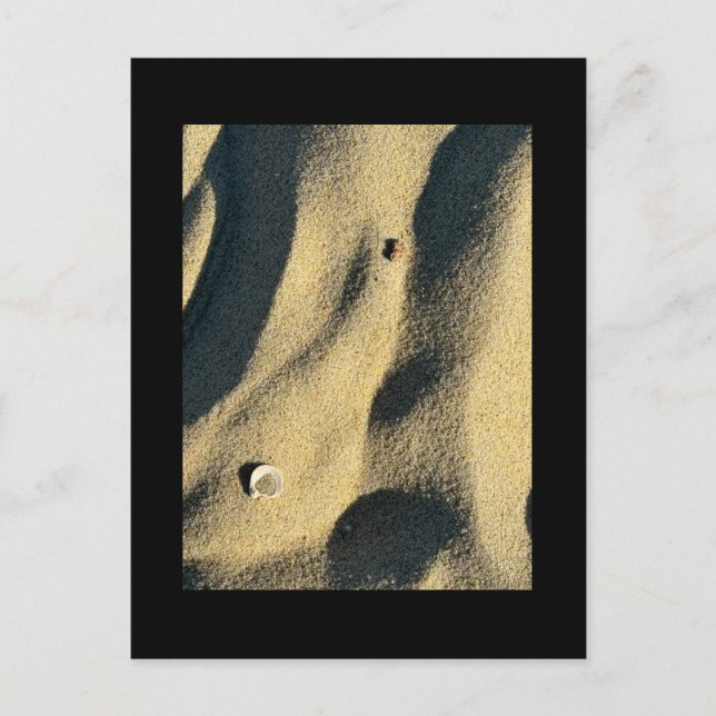 Shell Sand and Shadows Postcard (Front)