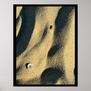 Shell Sand and Shadows Poster